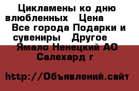 Цикламены ко дню влюбленных › Цена ­ 180 - Все города Подарки и сувениры » Другое   . Ямало-Ненецкий АО,Салехард г.